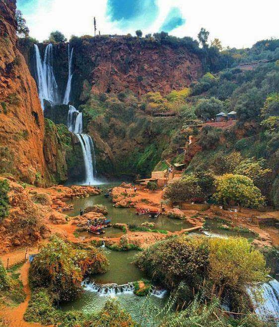 Moroccan Oasis