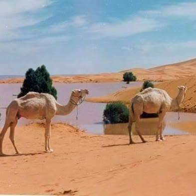 Atlas Mountains