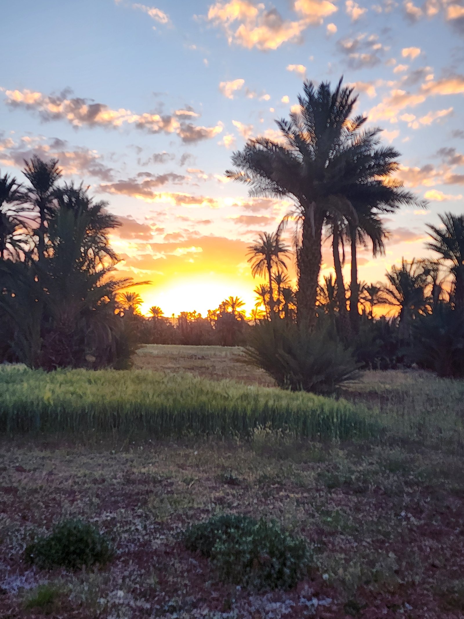 High Atlas Tour